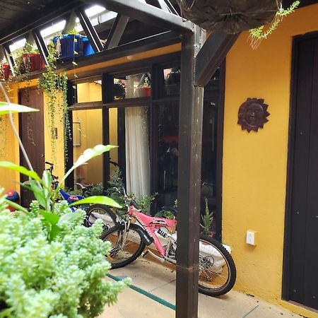 לינה וארוחת בוקר אנטיגואה גואטמלה Parrot House מראה חיצוני תמונה